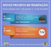 Novos projetos em tramitação - protocolados de 1º de janeiro a 16 de fevereiro de 2020