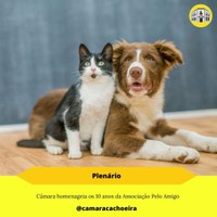 Câmara homenageia os 10 anos da Associação Pelo Amigo 