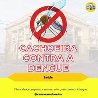 Câmara lança campanha e entra no esforço de combate à dengue