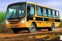 Câmara de Convergência vai discutir transporte escolar para estudantes do interior