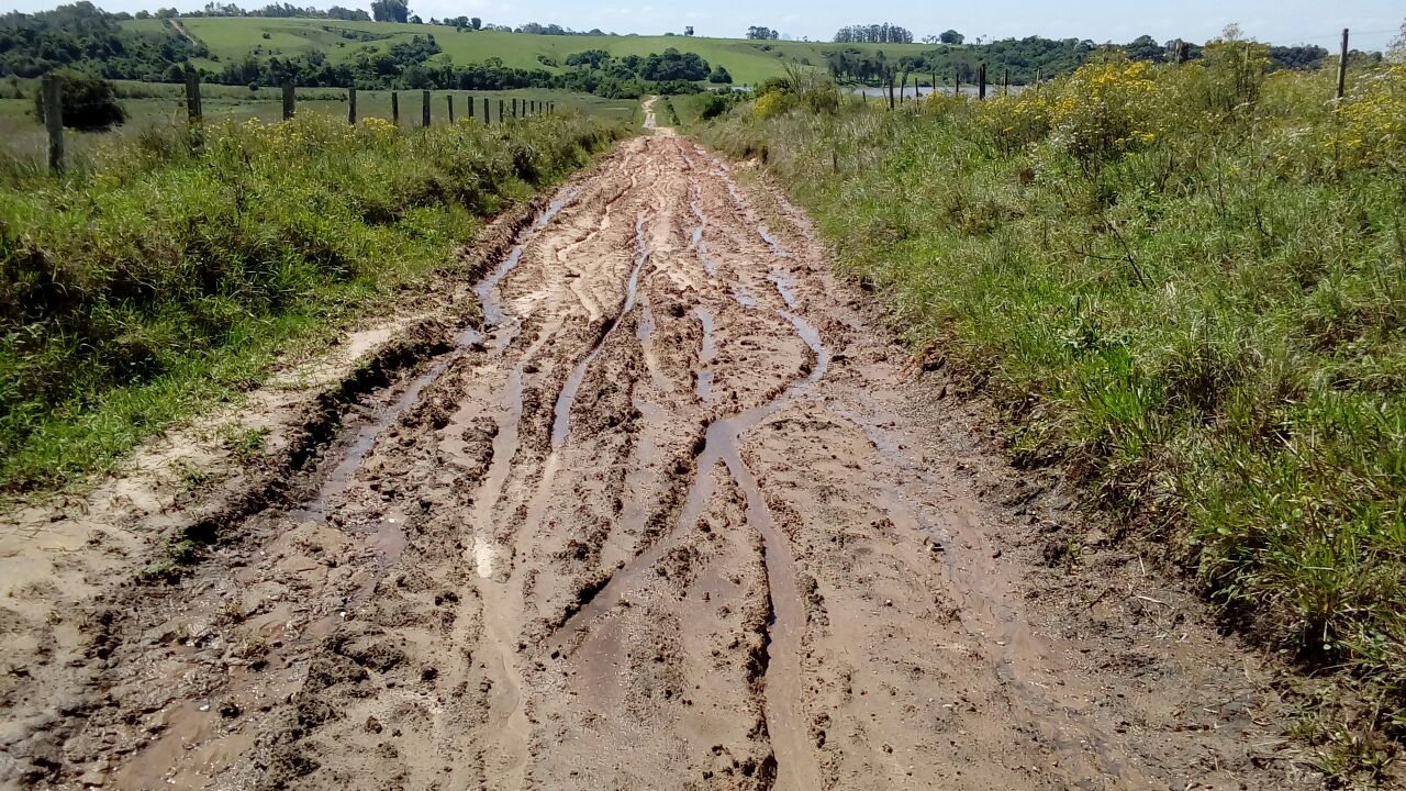 Estradas do Bosque preocupam vereadores.