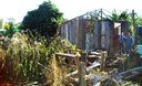 Família luta para reconstruir casa atingida por árvore no Bairro Marina