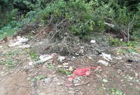 Meio Ambiente: Zimmer solicita retirada de lixão no Bairro Marques Ribeiro