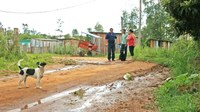 Zimmer alerta para surto de carrapatos no Habitar Brasil