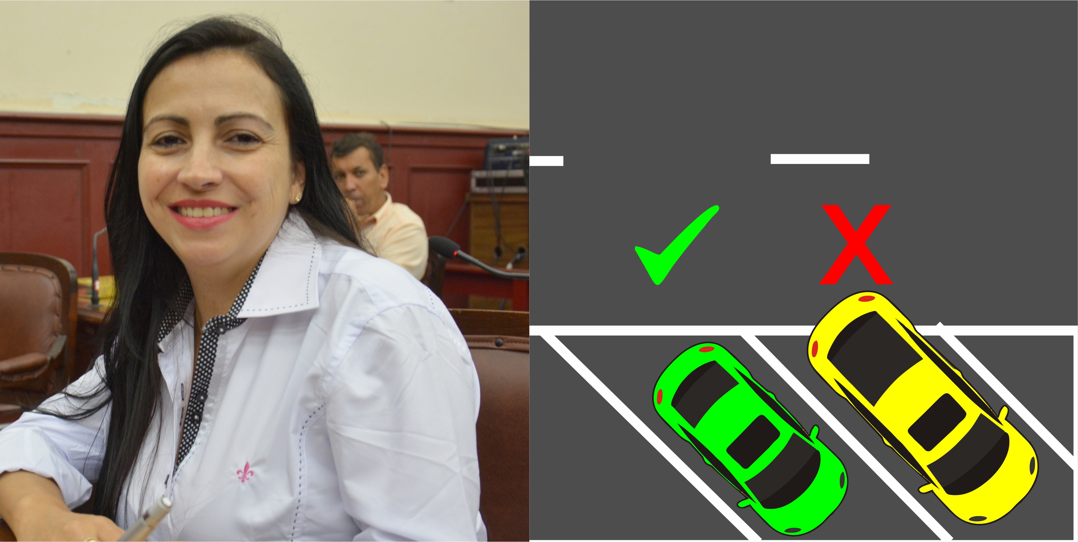 Vereadora Daniela sugere sinalização em estacionamentos oblíquos
