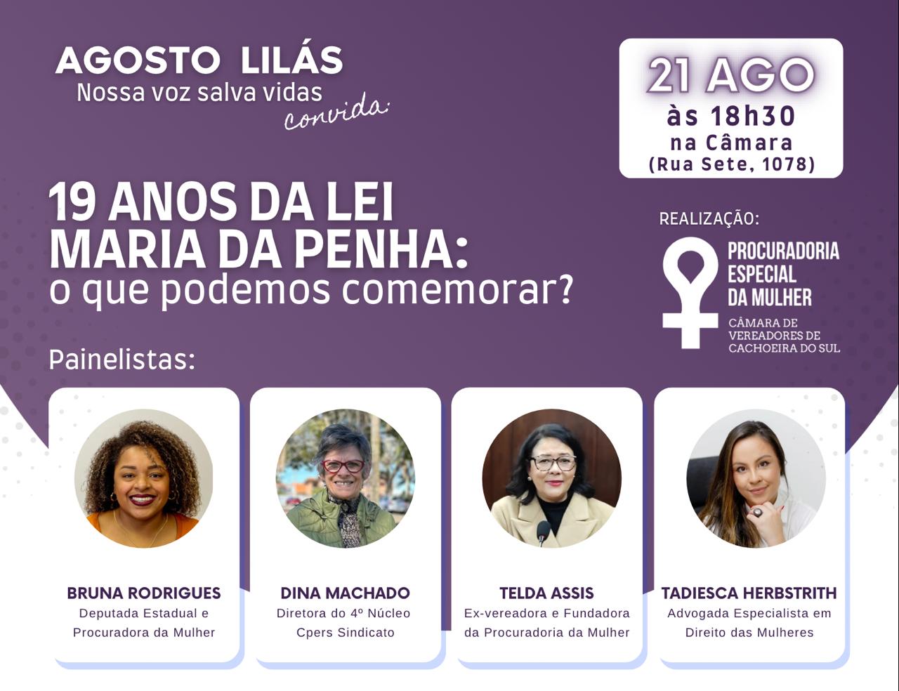 Painel na Câmara de Vereadores discute os 19 anos da Lei Maria da Penha