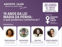Painel na Câmara de Vereadores discute os 19 anos da Lei Maria da Penha