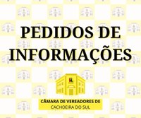 Parlamentares apresentam Pedidos de Informações